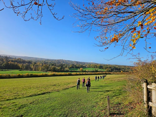 Thumbnail: Surrey Three Peaks Challenge, November 2025