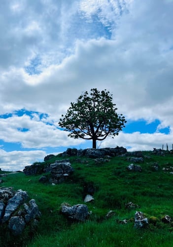 Thumbnail: Yorkshire Three Peaks Challenge, June 2024